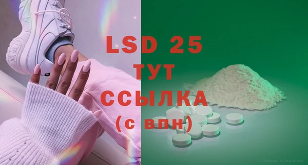 ПСИЛОЦИБИНОВЫЕ ГРИБЫ Белоозёрский