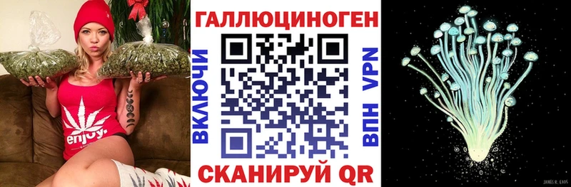 Псилоцибиновые грибы Psilocybine cubensis  купить наркотик  Красный Холм 